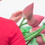 Ethik der Filter und Blicke Was Sie wissen müssen