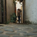 Warum Video-Chats die Persönlichkeit besser enthüllen als Fotos